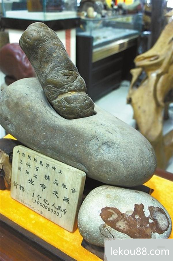 生命之源奇石 生命之源奇石